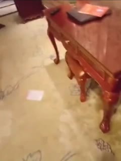 巨乳视觉盛宴 约炮巨乳少妇 主动配合各种招式 一路奋力配合 展现巨乳风采