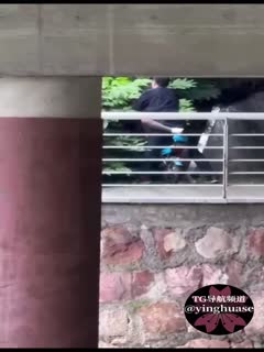 老司机，哪里都能车震