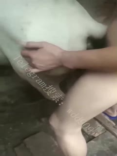 6fykKKpQ
