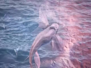 百炼成神第三季5