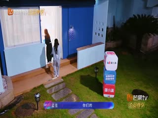 乘风202639